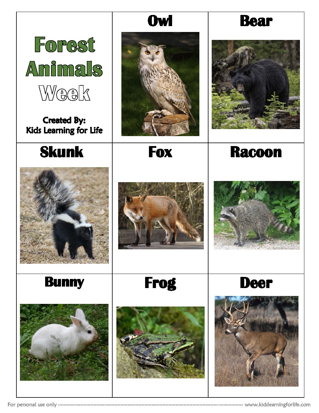 Forest Animals Chart